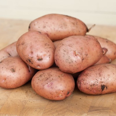 Sarpo Mira Main Crop Seed Potatoes 2kg Pack Sarpo Mira Main Crop Seed Potatoes 2kg Pack